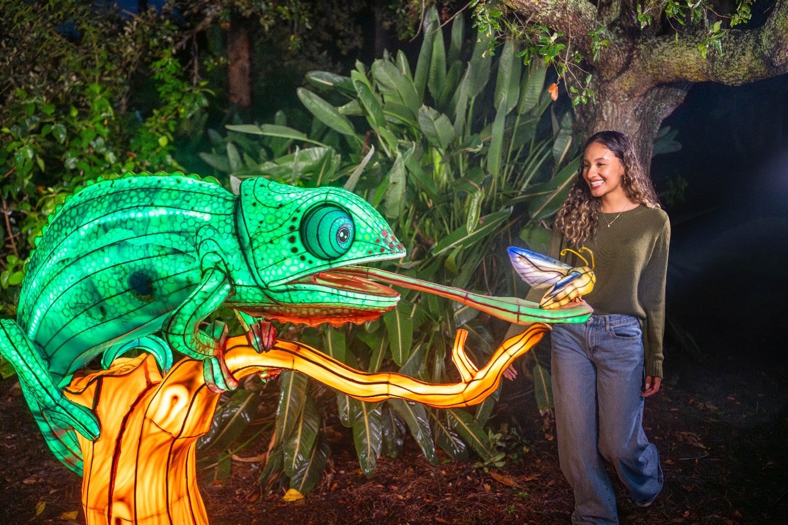 Aquatica Orlando Florida Nighttime Event
