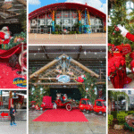Experience the Magic of Christmas Wonderland at Dezerland Park Orlando