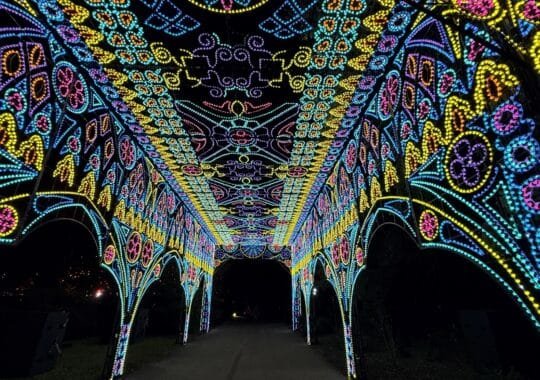 What Is Dazzling Nights Orlando? Your Guide to the Annual Holiday Light Event