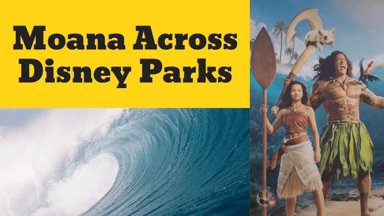 Set Sail with Moana Across Disney Parks and Beyond 1 Moana Across Disney Parks