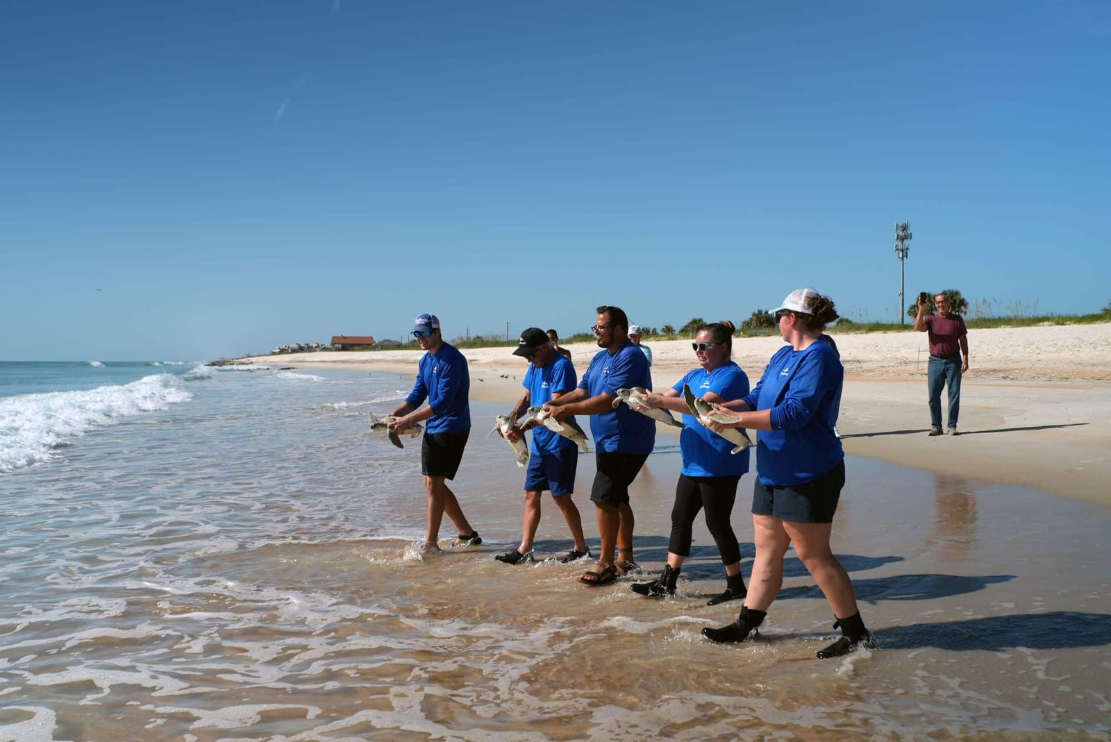 Nine Rehabilitated Sea Turtles Return to the Atlantic Thanks to SeaWorld Orlando’s Rescue Team